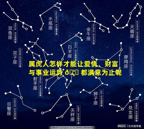 属虎人怎样才能让爱情、财富与事业运势 🦊 都满意为止呢